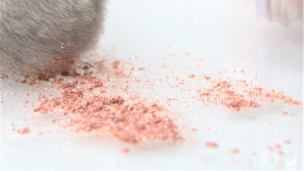 L`OREAL CHROMATIC BRONZE LOOSE PIGMENTS - AS IF (01) - Image 2