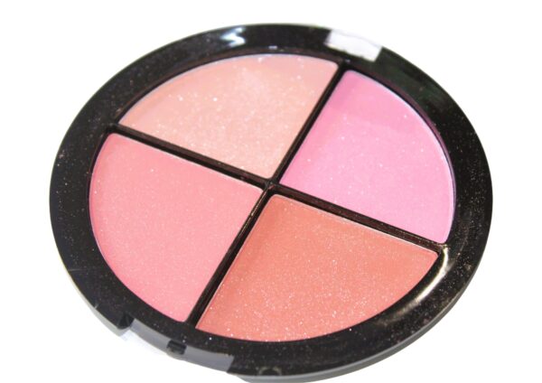 TECHNIC MEGA BLUSH PALETTE - Image 2