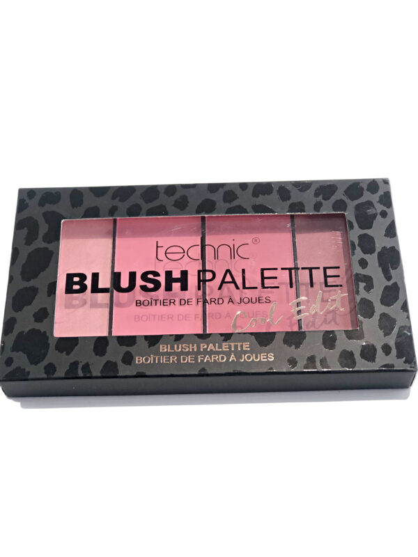 TECHNIC BLUSH LARGE PALETTE - COOL EDIT
